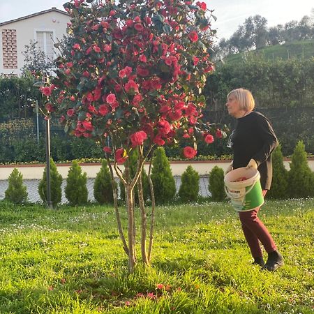 Casa Isabelle Daire Canneto  Dış mekan fotoğraf