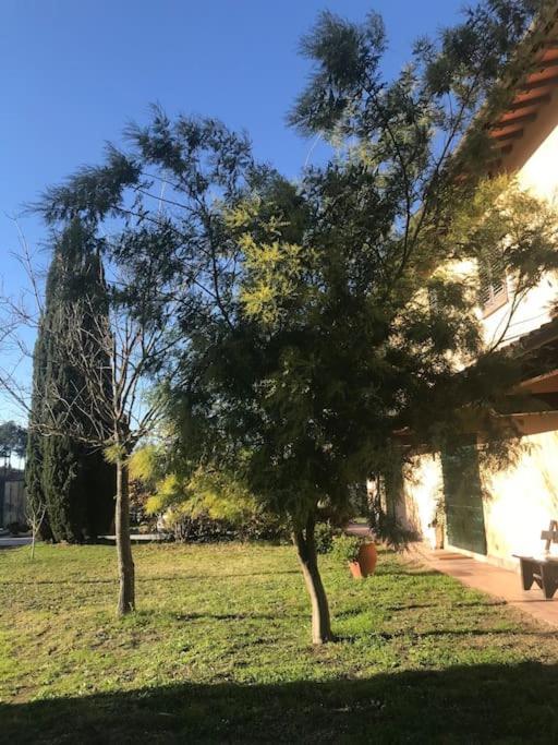 Casa Isabelle Daire Canneto  Dış mekan fotoğraf