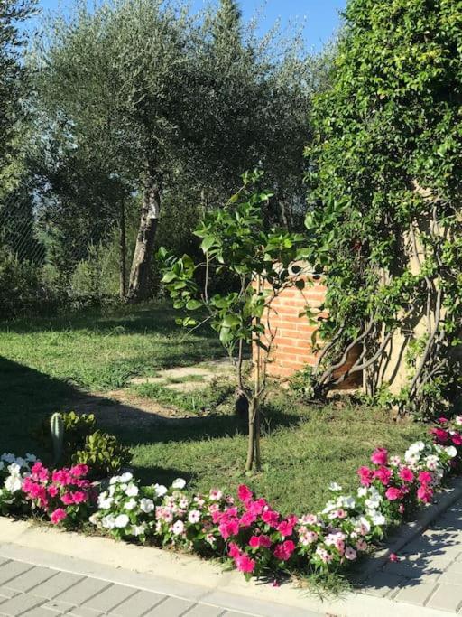 Casa Isabelle Daire Canneto  Dış mekan fotoğraf