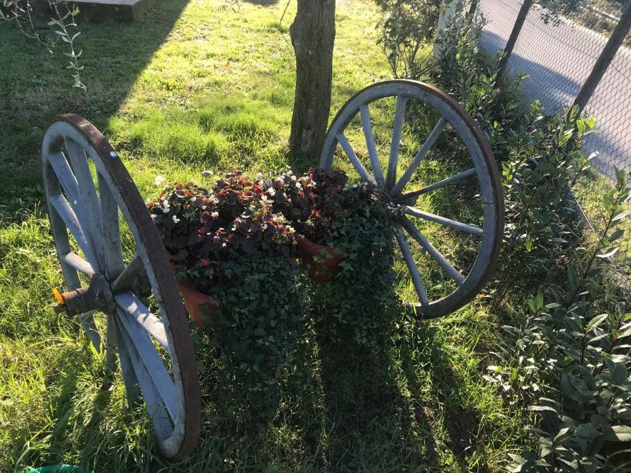 Casa Isabelle Daire Canneto  Dış mekan fotoğraf